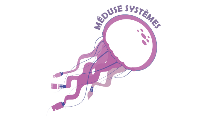 MEDUSE SYSTEMES